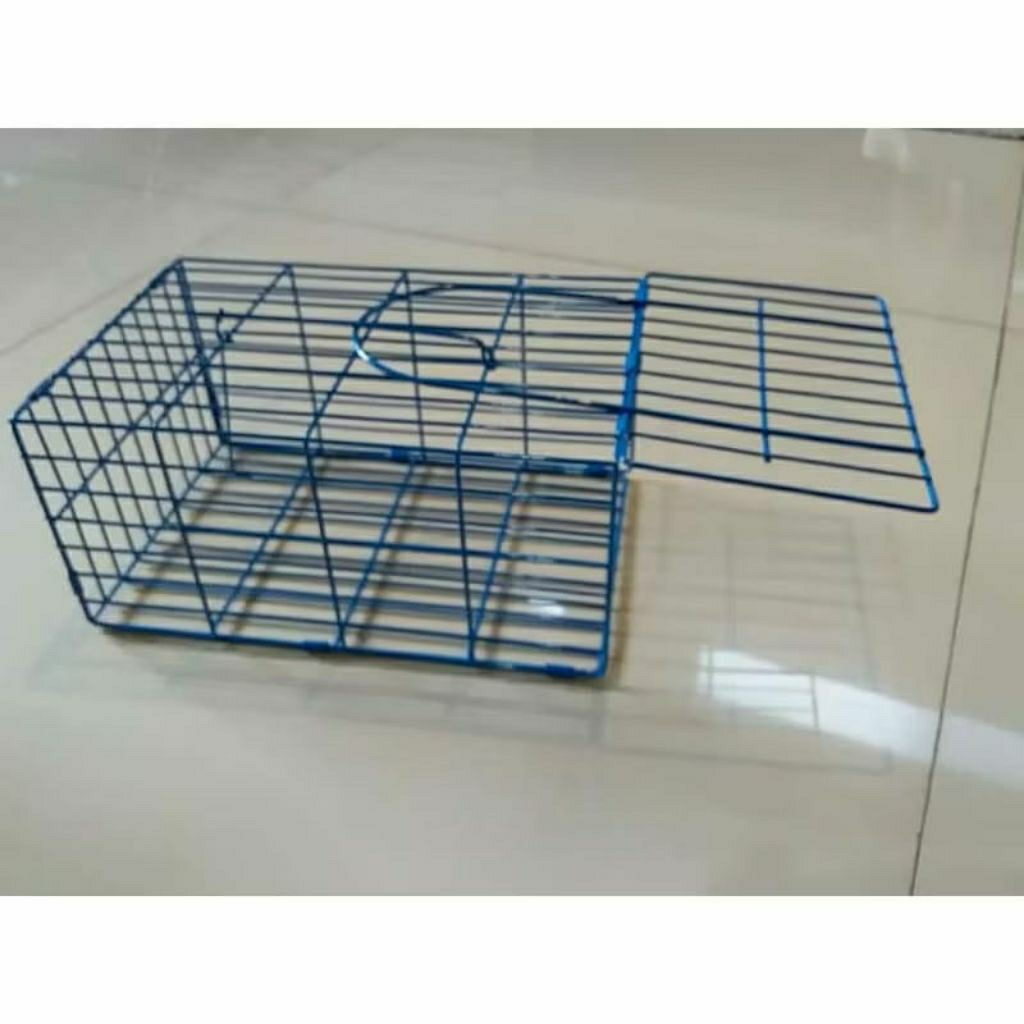 jebakan tikus,sentreg