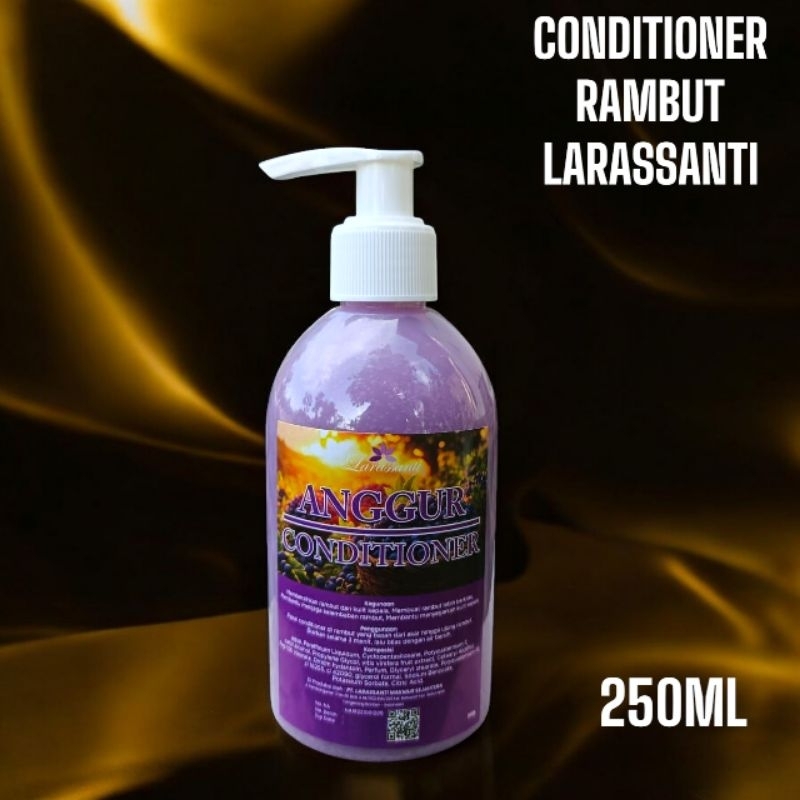 Conditioner salon pot 250ml BPOM