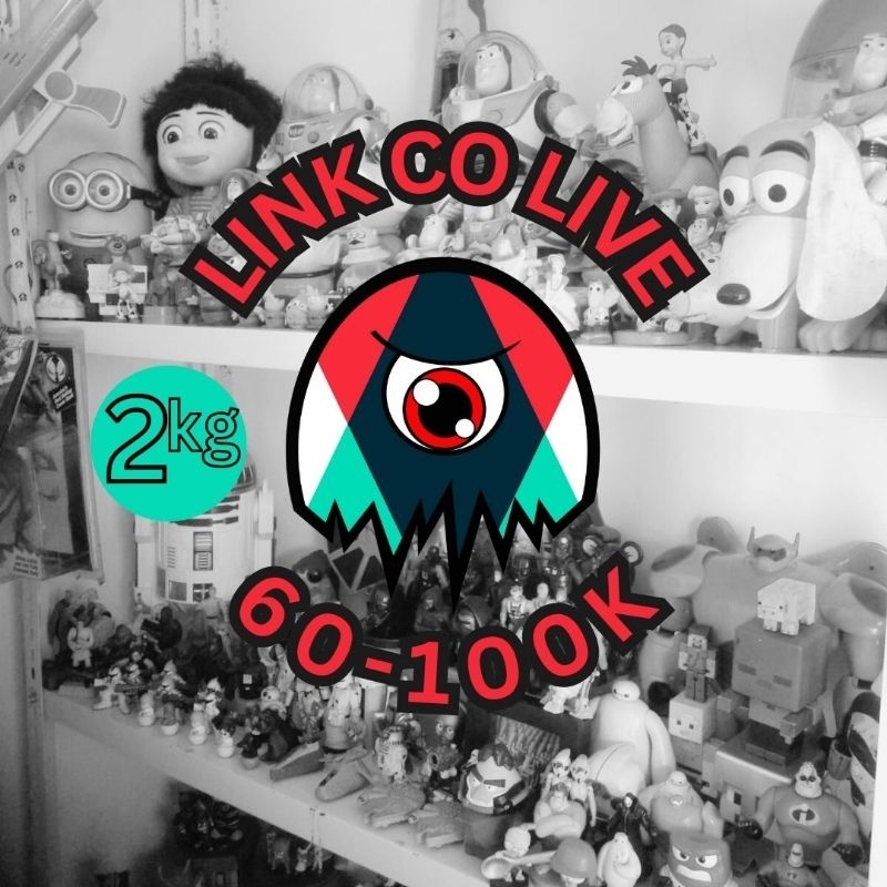Link Rekap Live paket cargo