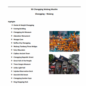 9D Chongqing Wulong