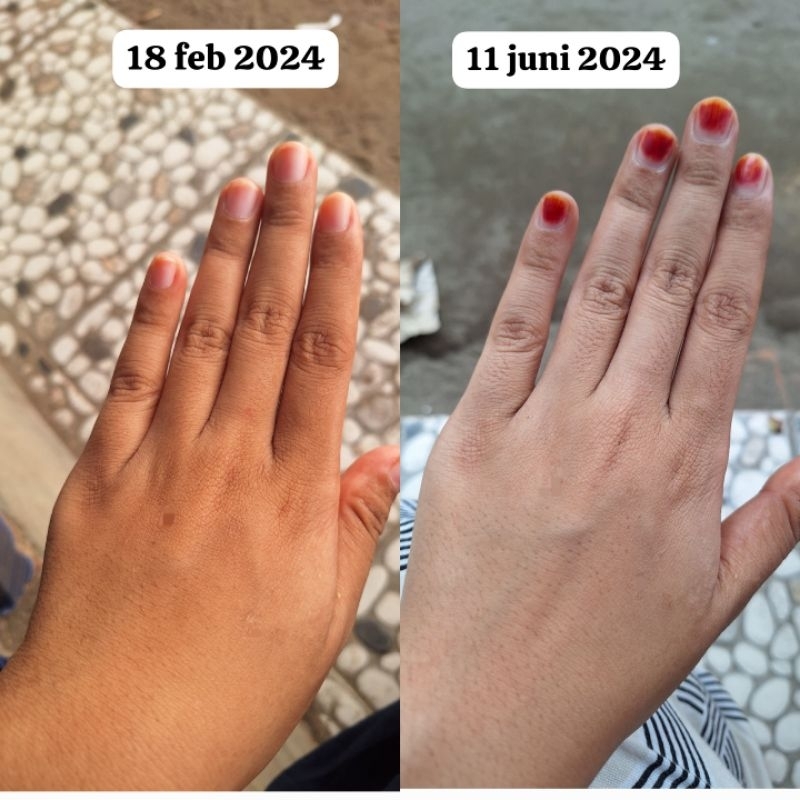 wajhul arusha ori 100%