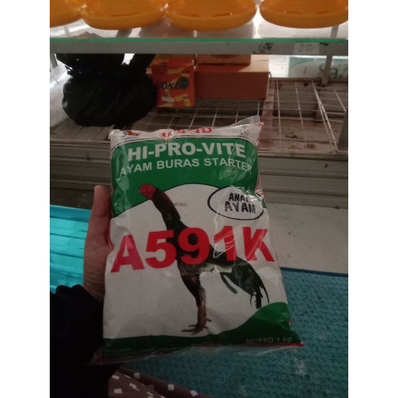 Sentrat ayam buras A591