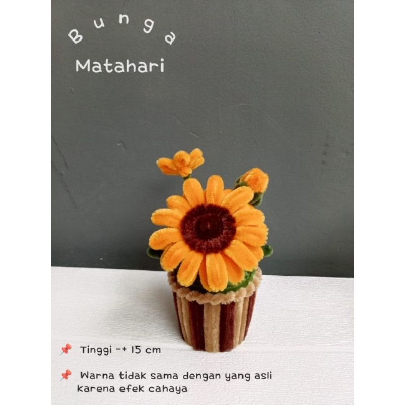 bunga pot kawat bulu