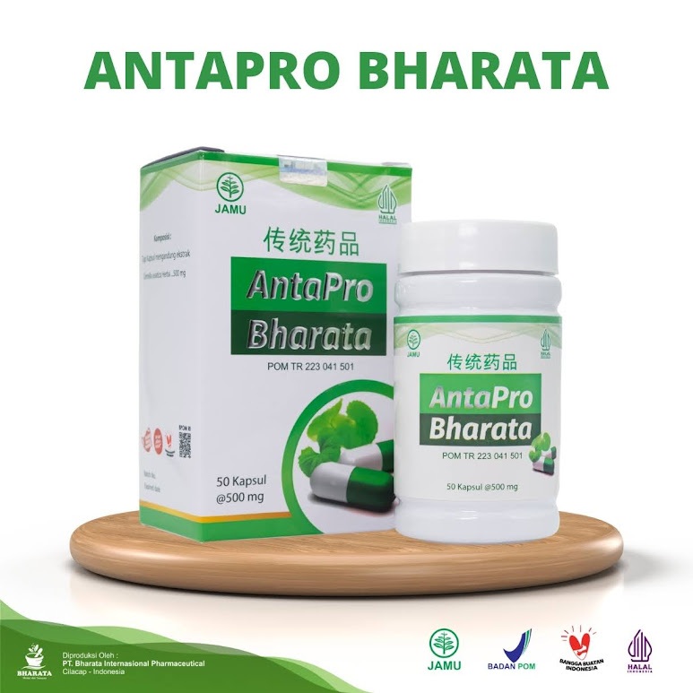 Obat Herbal Stroke Ringan Antapro Bharata