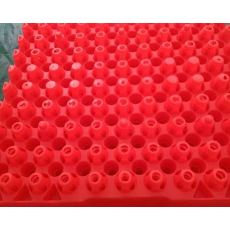 Set Opsional Tray puyuh
