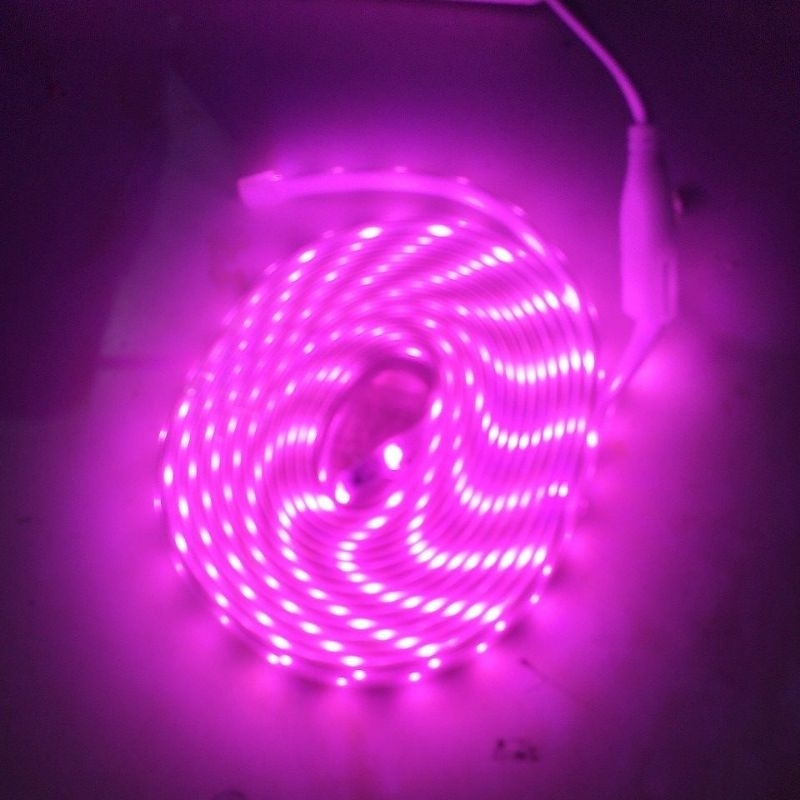 led#strip#myvo#10m