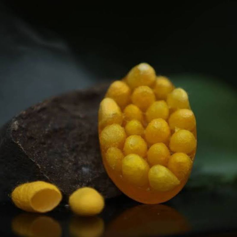magic cocoon sabun wajah