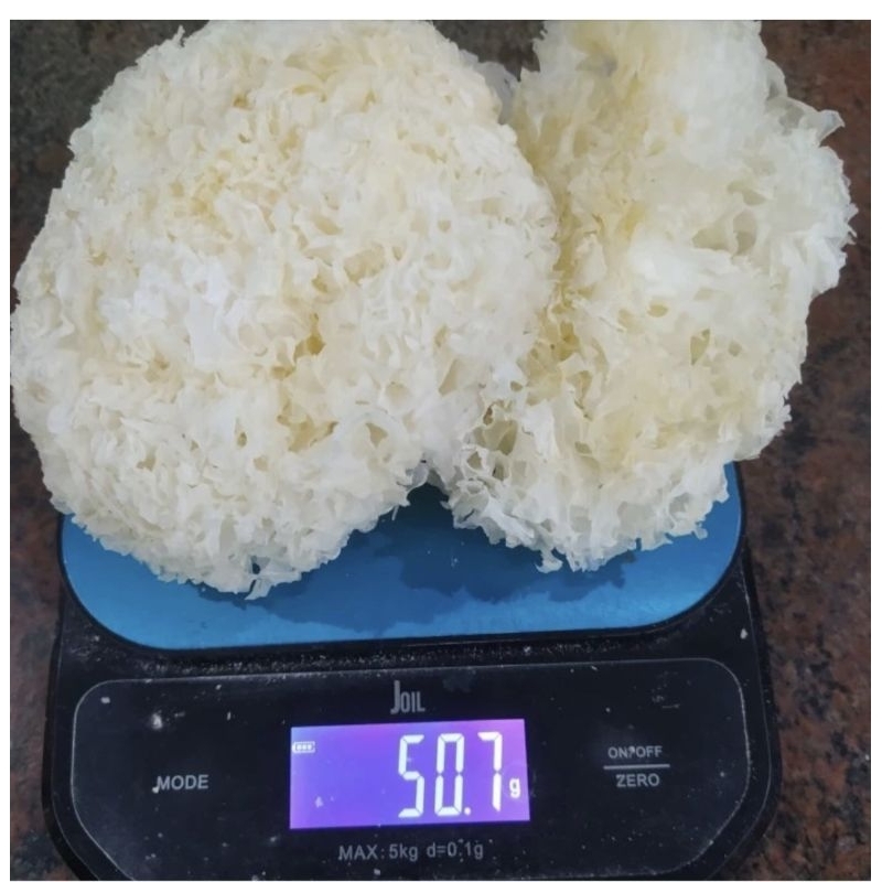 50 gram Bok nie