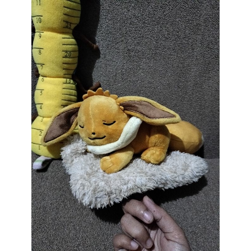 evee boboan