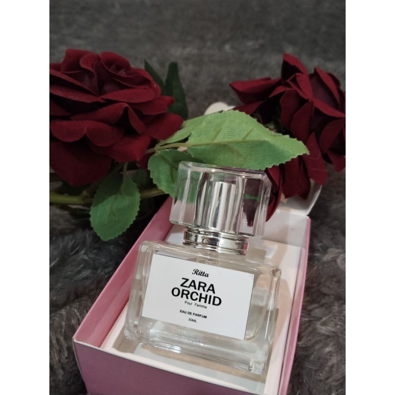 ZARA ORCHID