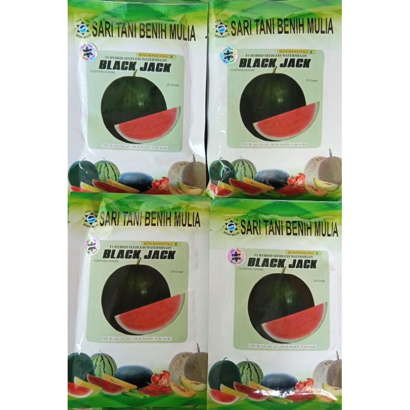 Bibit semangka black jack