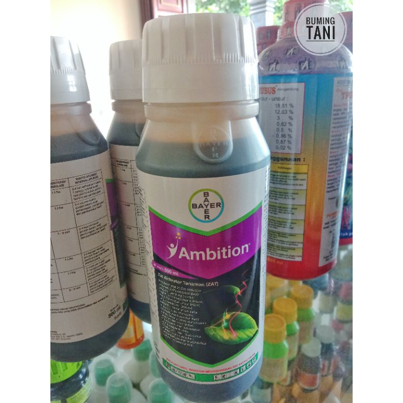 Ambition 500ml (ZAT)