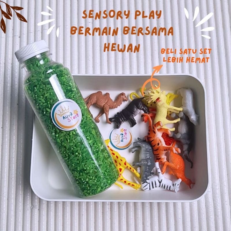 Mainan hewan one set Sensory Play