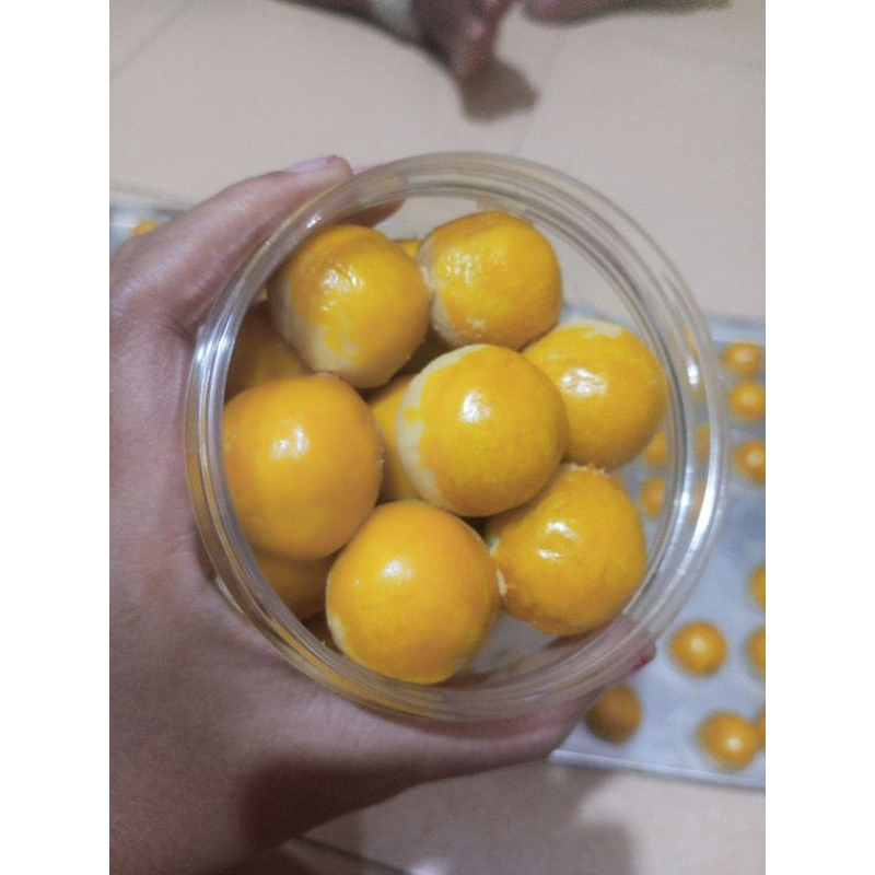 nastar, kastengel,putrisalju