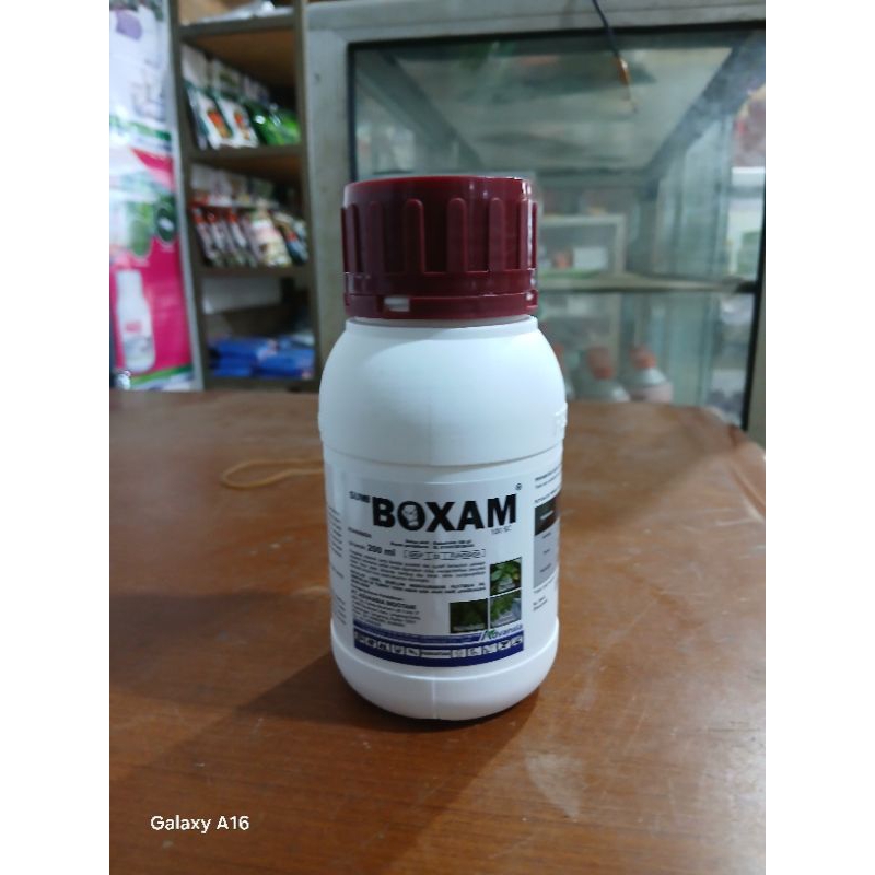 BOXAM 200 ML ADVANSIA