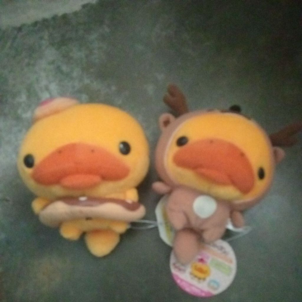 bebek lucu cantik