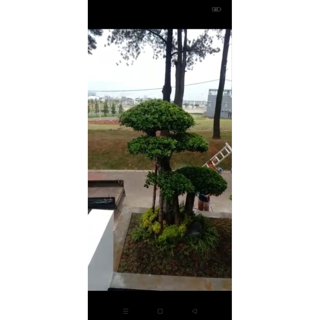 taman bergaransi