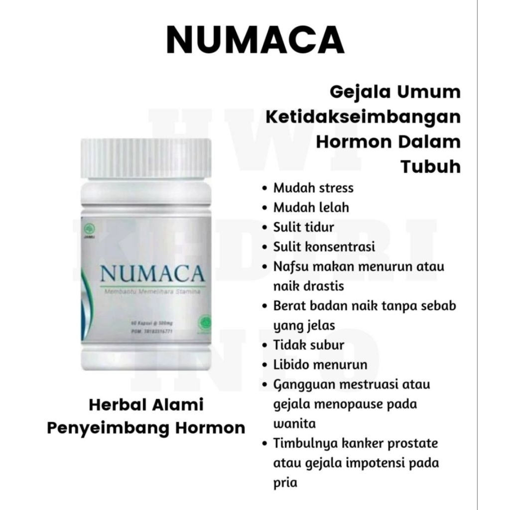 Numaca/pasutri/programhamil