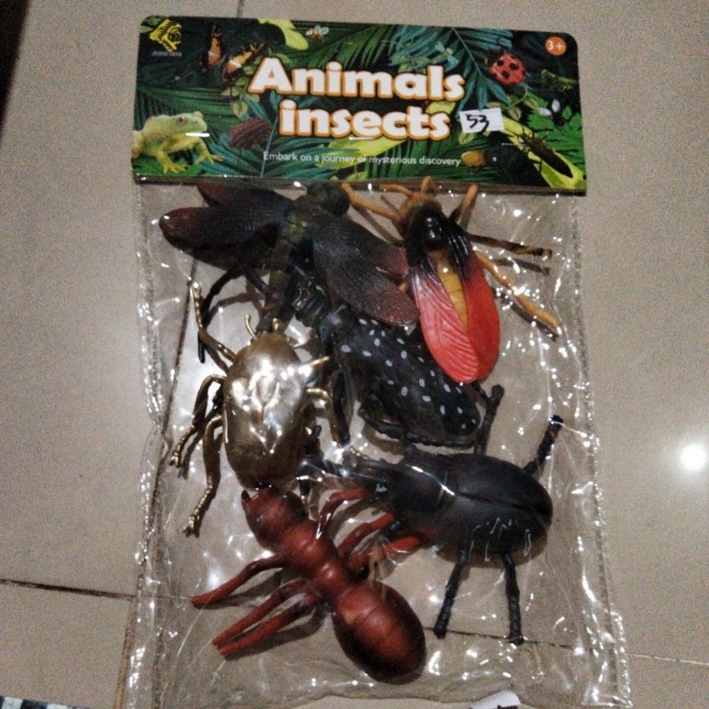 animalinsects