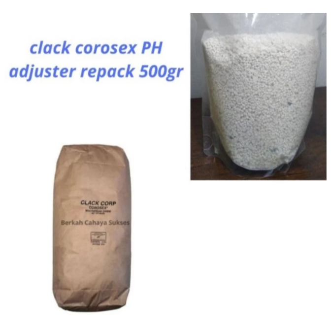 Corosex pH Adjuster Booster Correction 500 gr