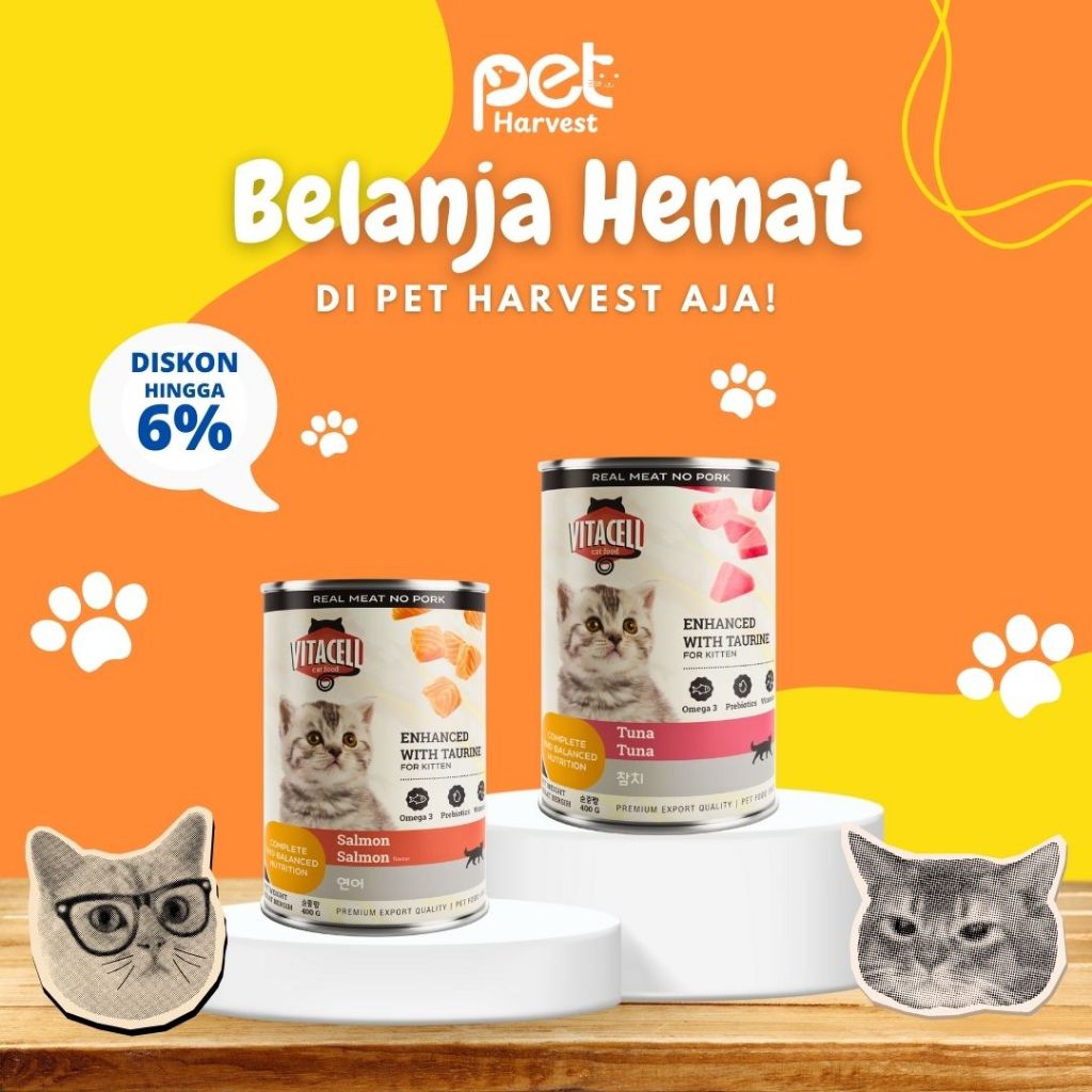 Vitacell Can Kitten 400G