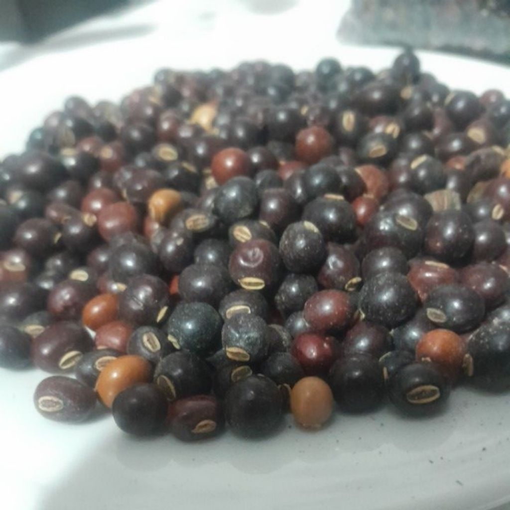 Biji kecipir/Botor 1kg