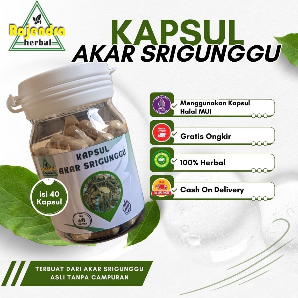KAPSUL AKAR SRIGUNGGU