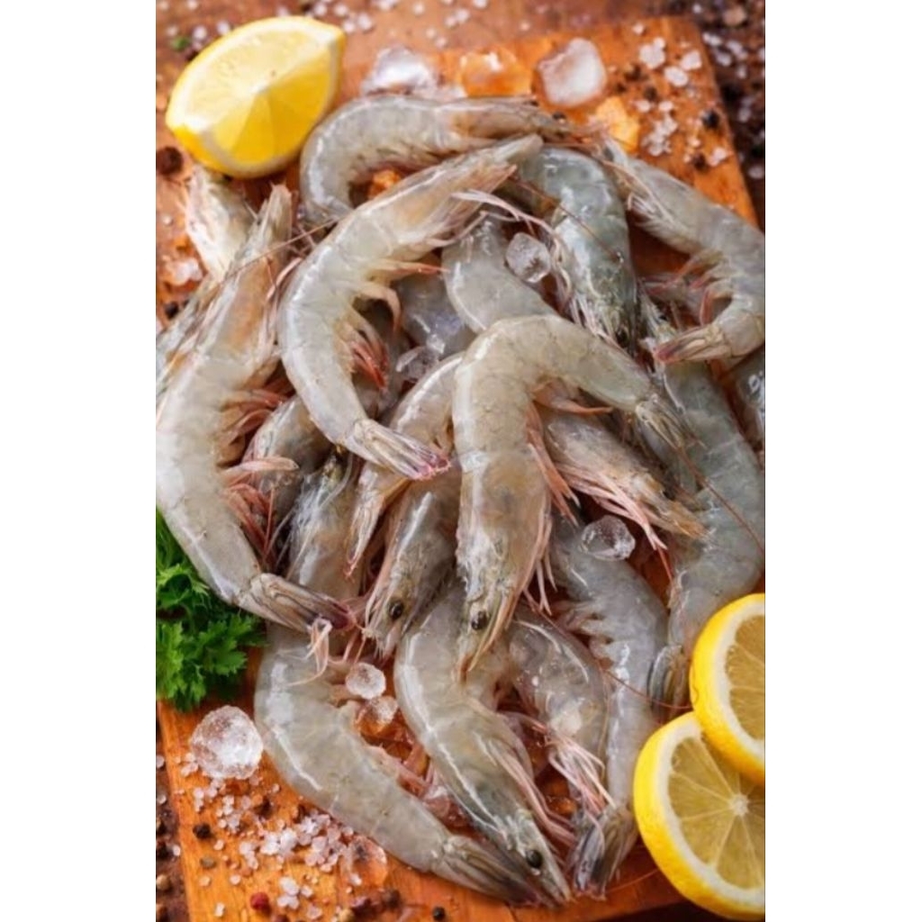 Udang Segar