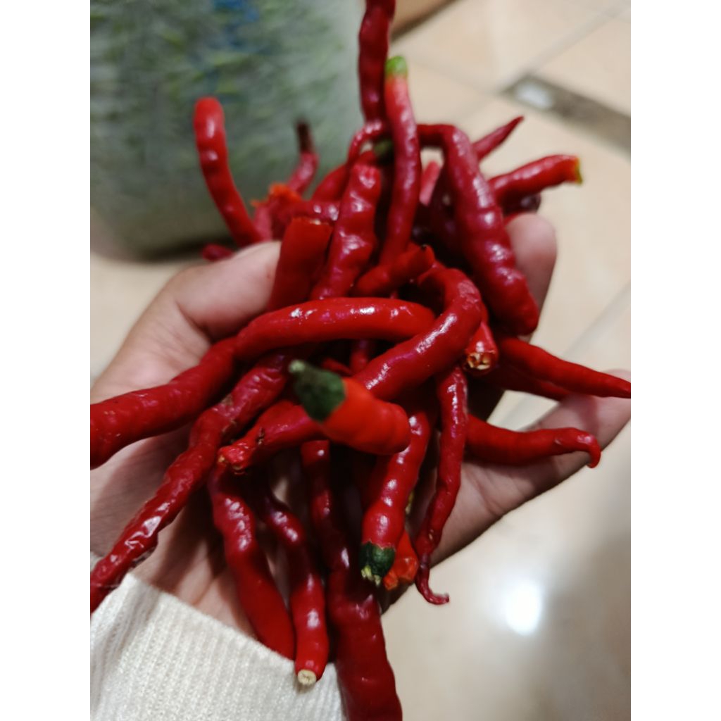 Cabe merah keriting petik 100gr