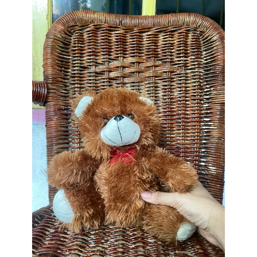 BONEKA TEDDY BEAR