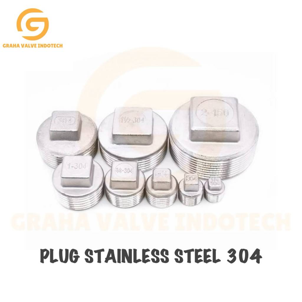 Plug Stainless 304 1/2" inch