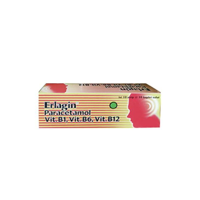 ERLAGIN BOX ISI 100 TABLET