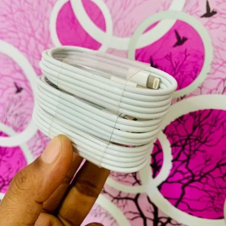 Kabel iPhone iPad USB To Lightning Original