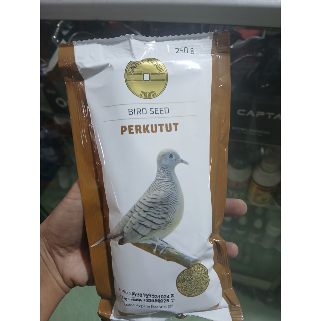 GOLD COIN (BURUNG)