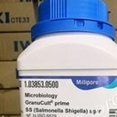 SS Agar 1.03853.05000