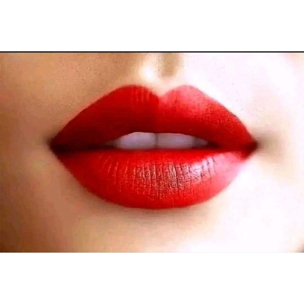 henna bibir