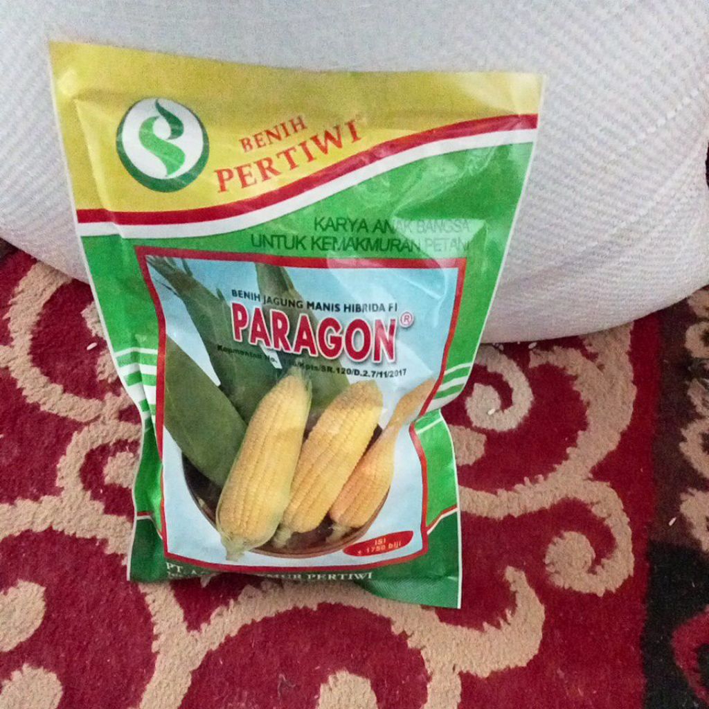paragon