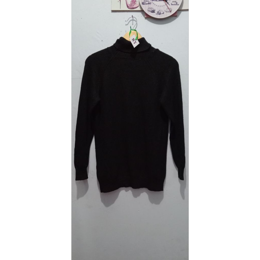 turtle hitam
