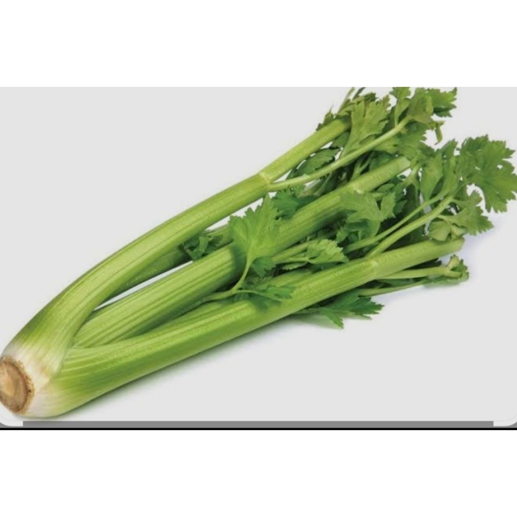 seledri/celery stick