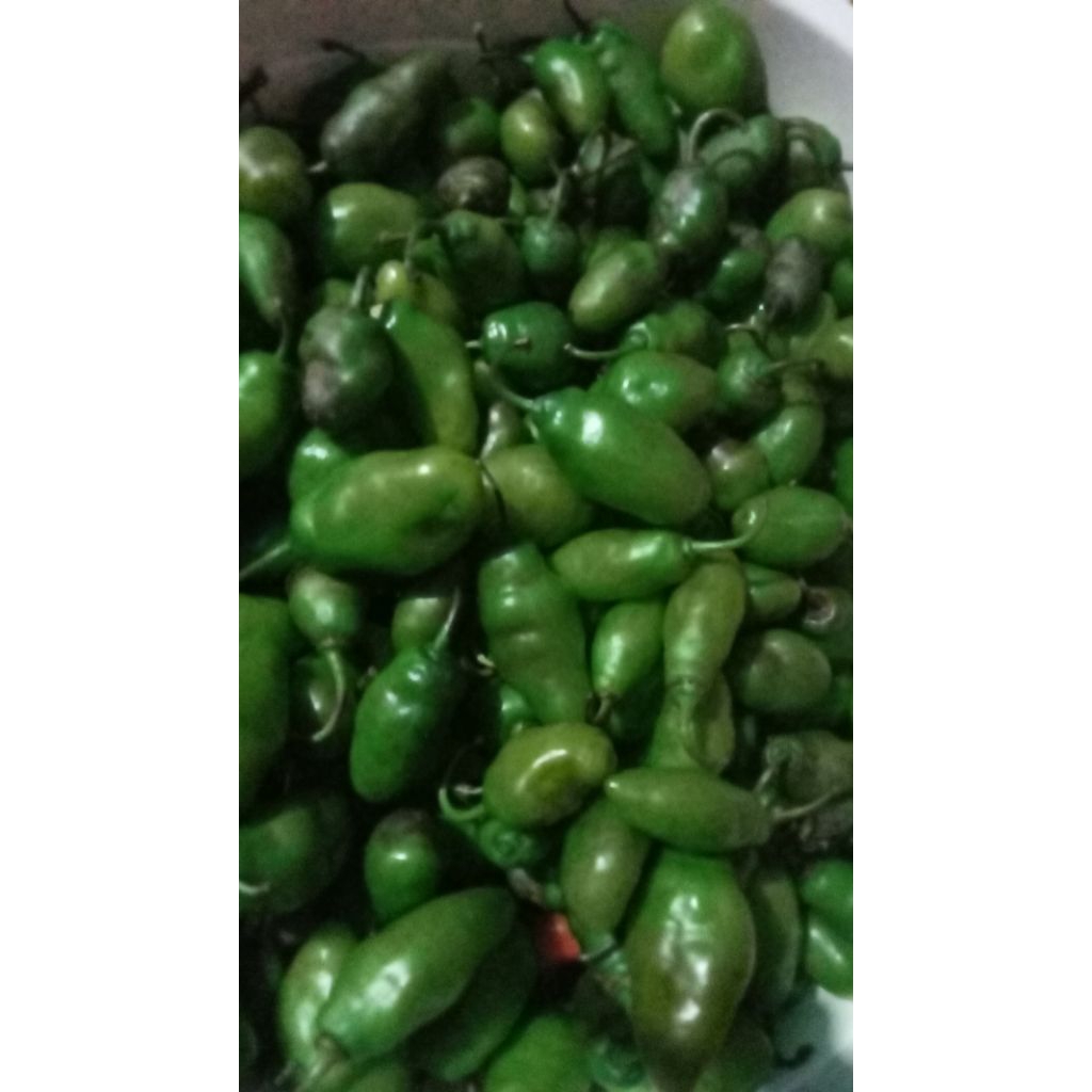 cabe gendot frest