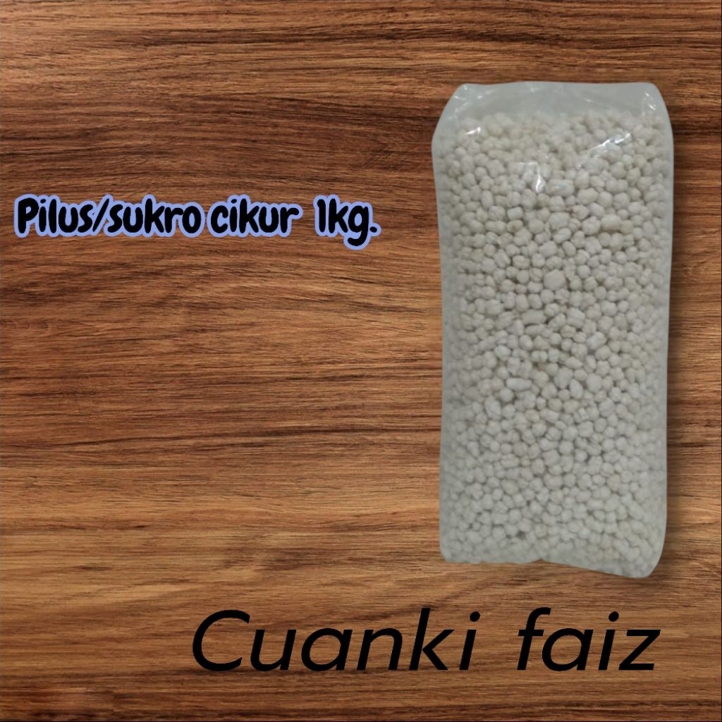 pilus kencur 1kg