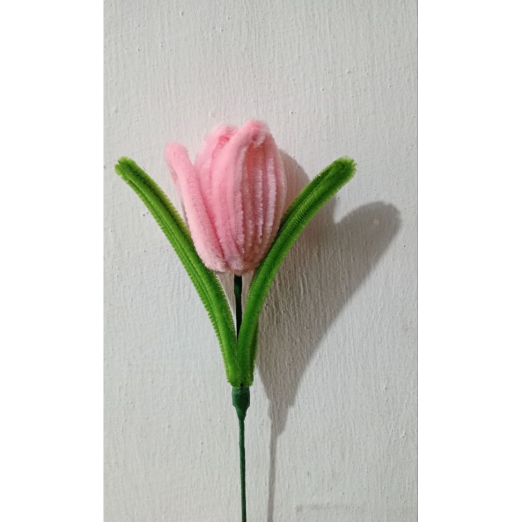 bunga tulip