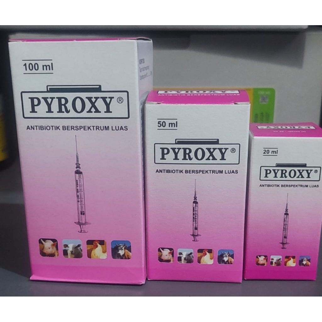 PYROXY (Antibiotik Spektrum Luas Untuk Ternak)