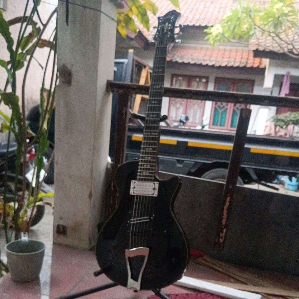 hagner electrik guitar