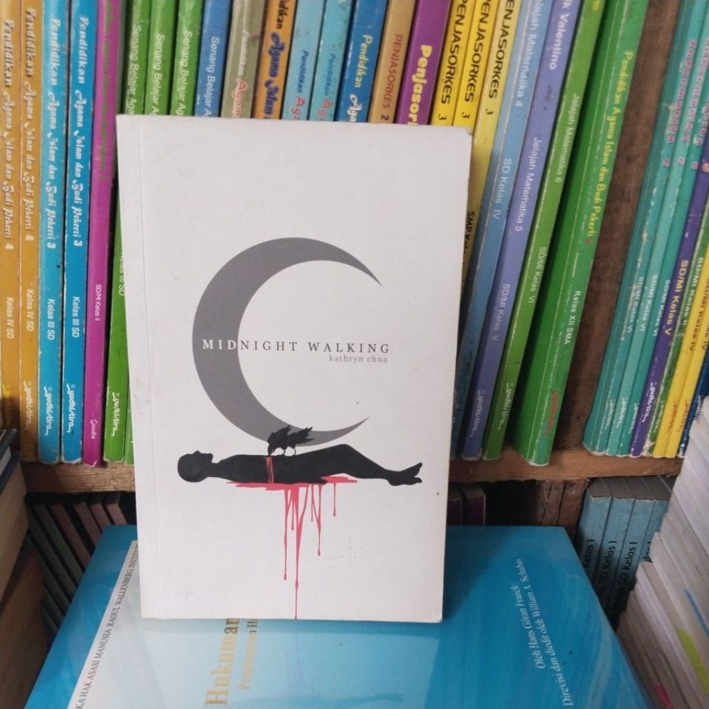 NOVEL MIDNIGHT WALKING kathryn chun