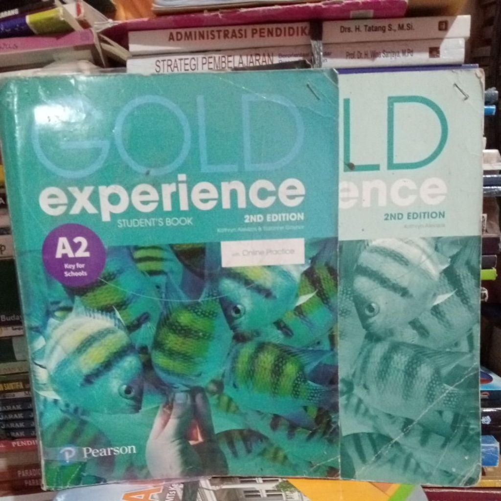 buku gold experience A2