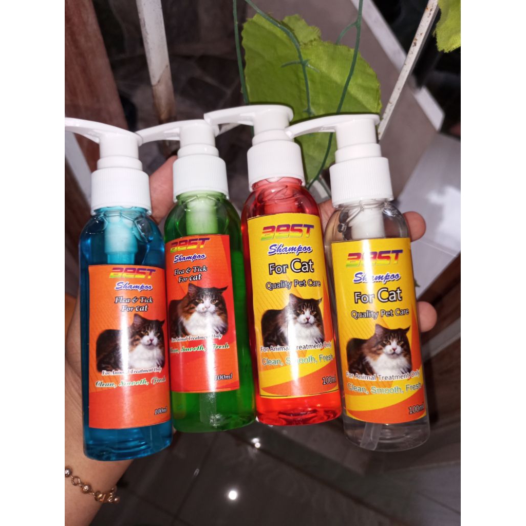 shampo best kutu