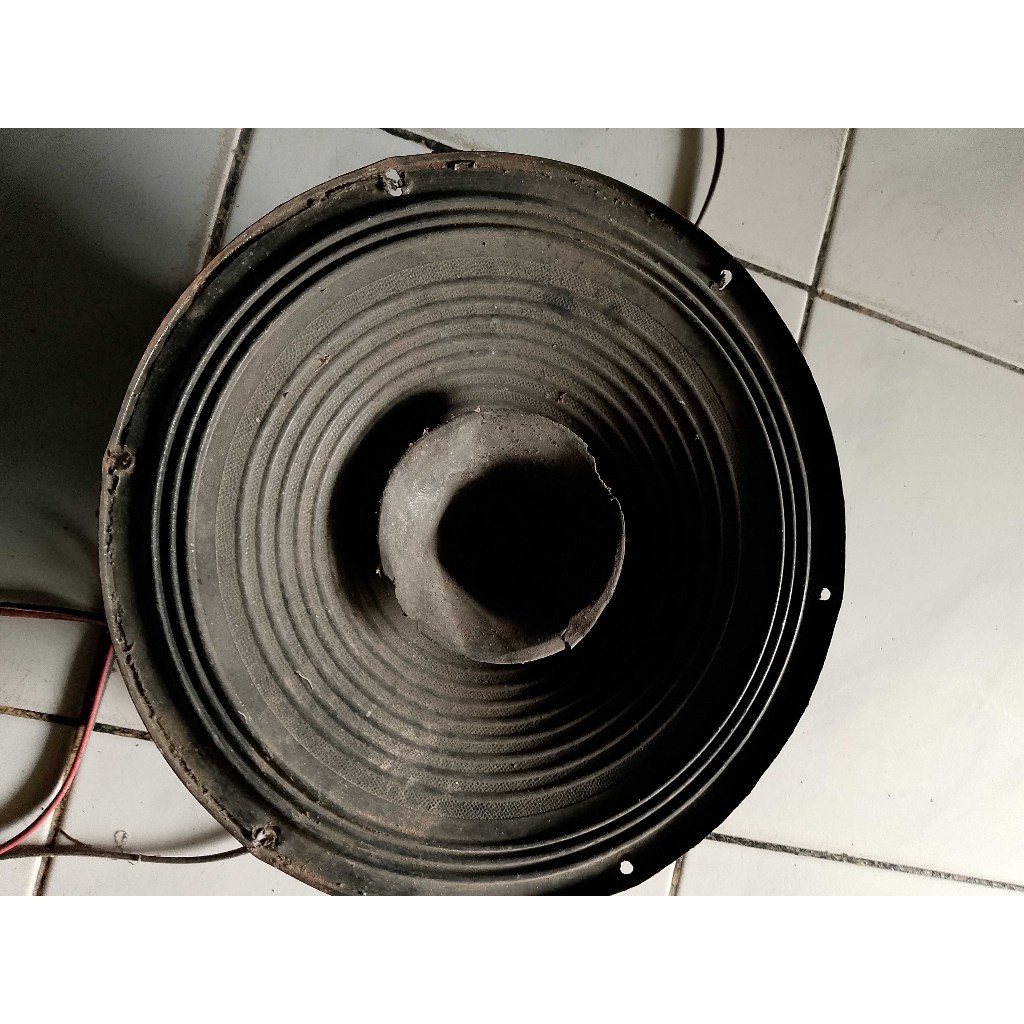 Speaker Full Range