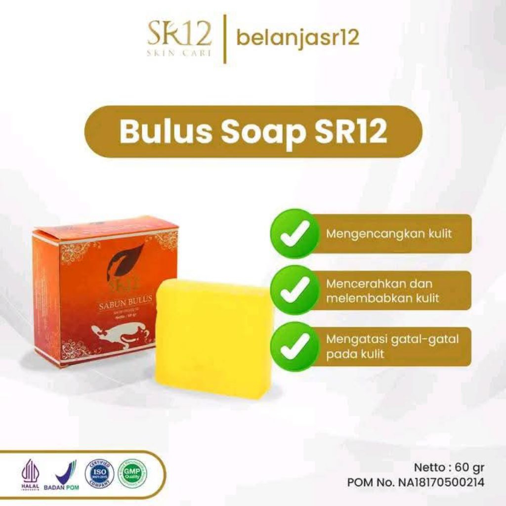 SR 12 SABUN BULUS
