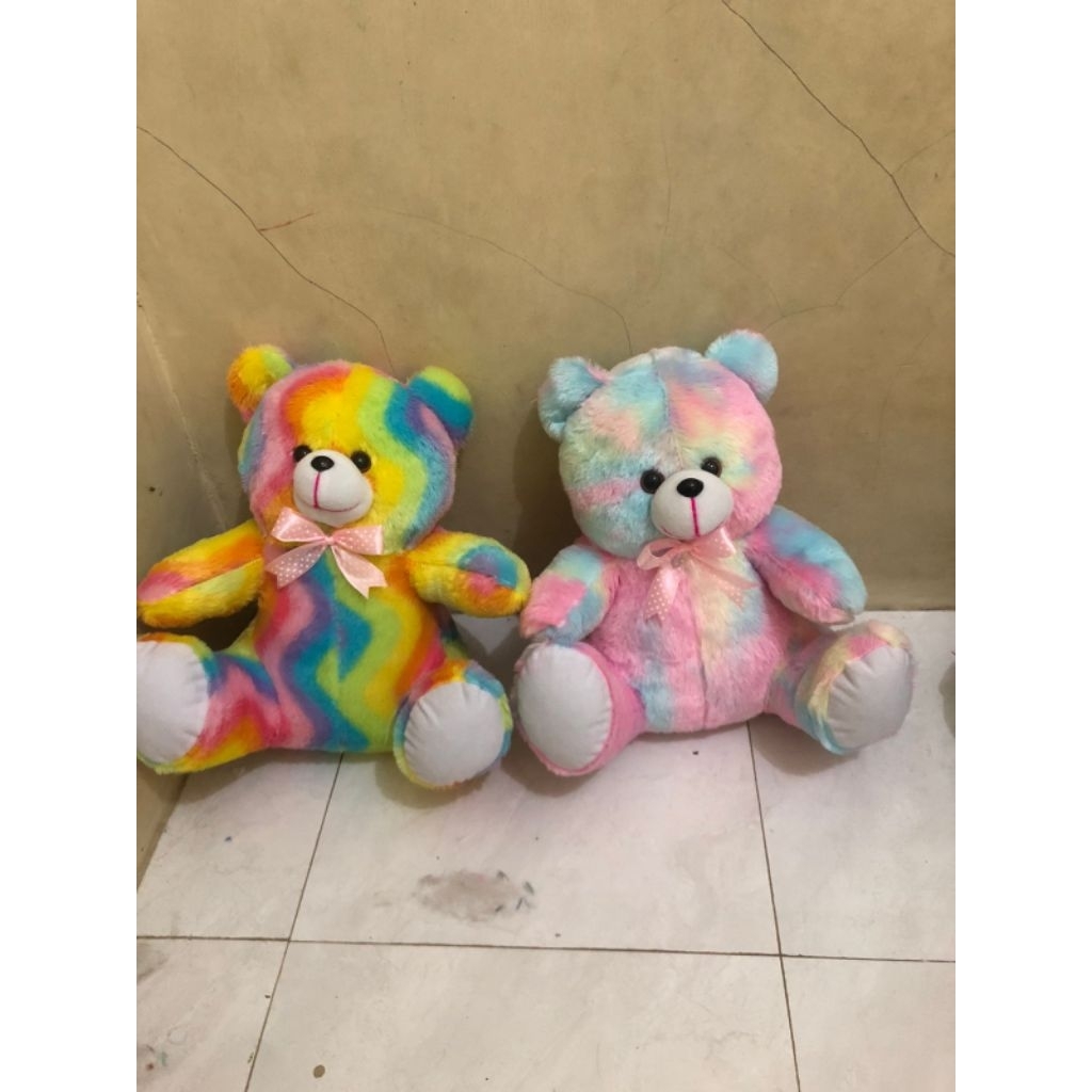 Bear Rainbow Duduk Uk.L